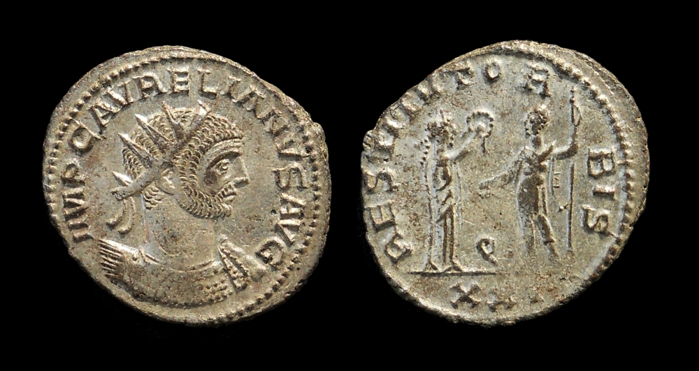 aurelian k.jpg