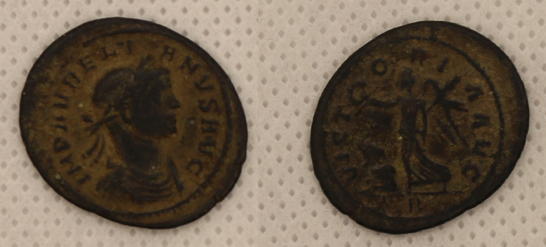 Aurelian lightbox.png