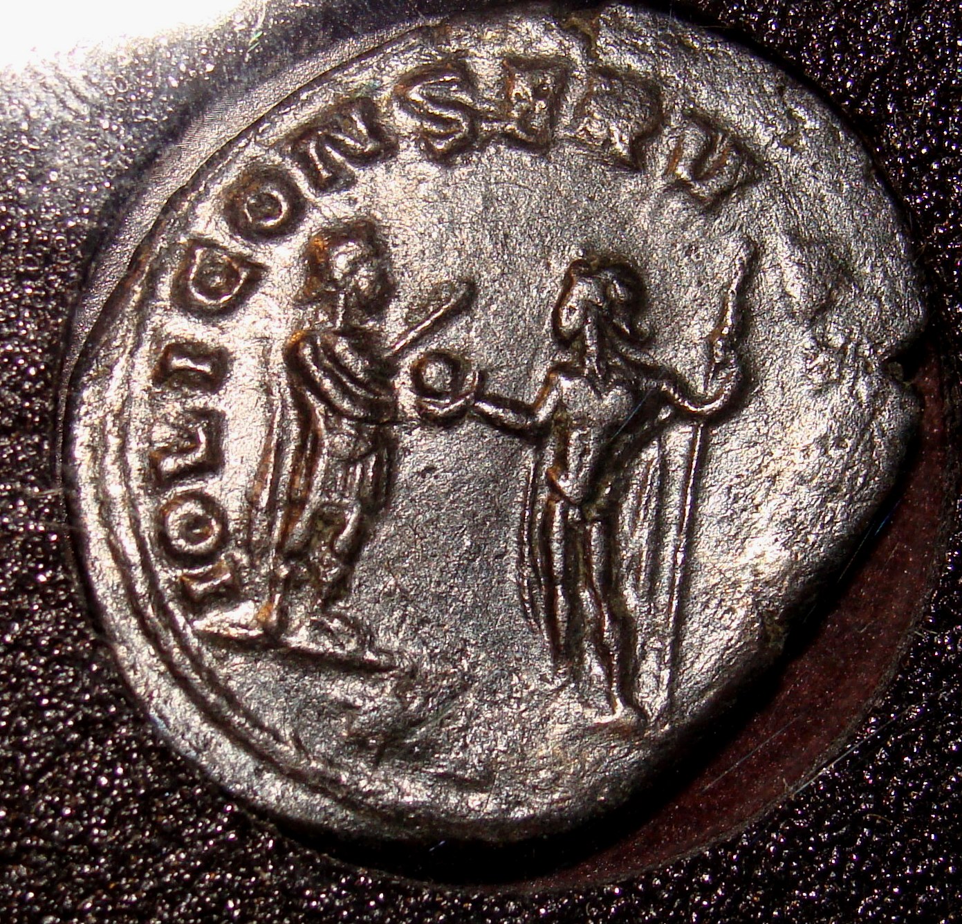 Aurelian Rev.JPG