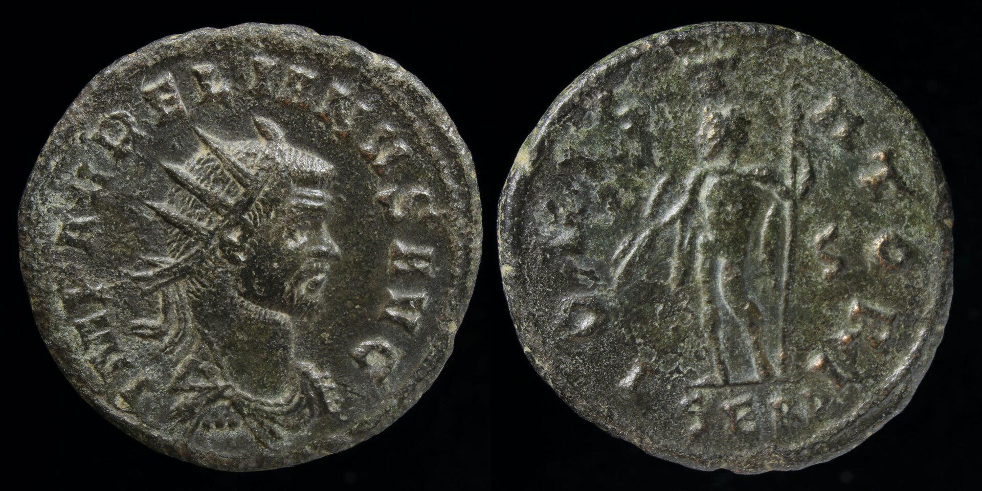 aurelian serd.jpg