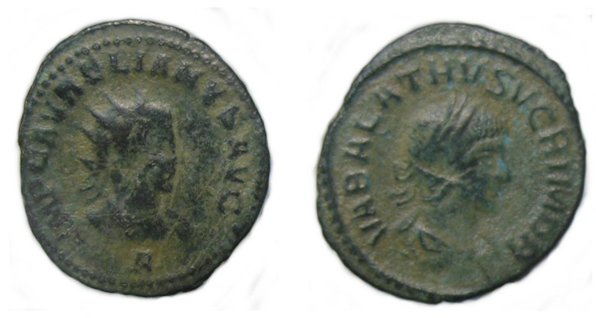 aurelian-vabalathus-ant.jpg