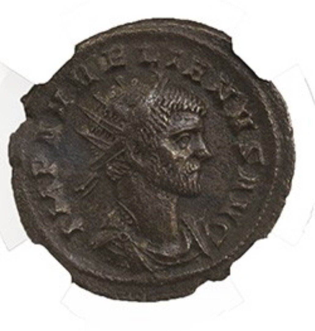 Aurelian2.jpg