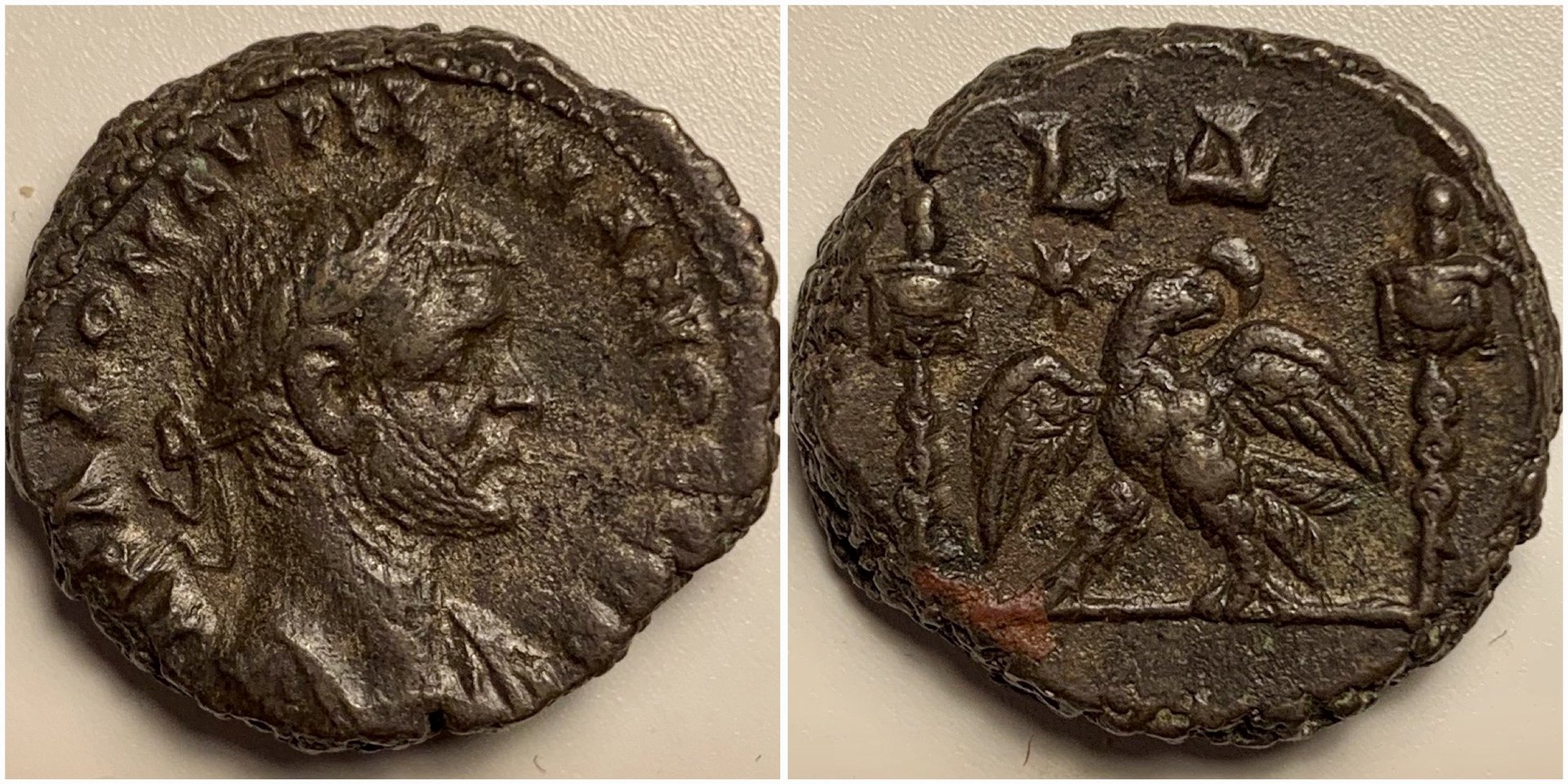 Aurelian4393.jpg