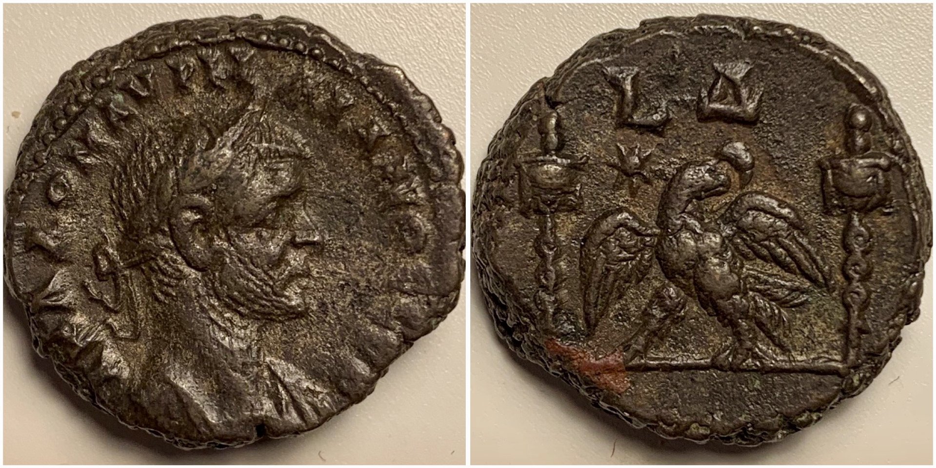 Aurelian4393.jpg