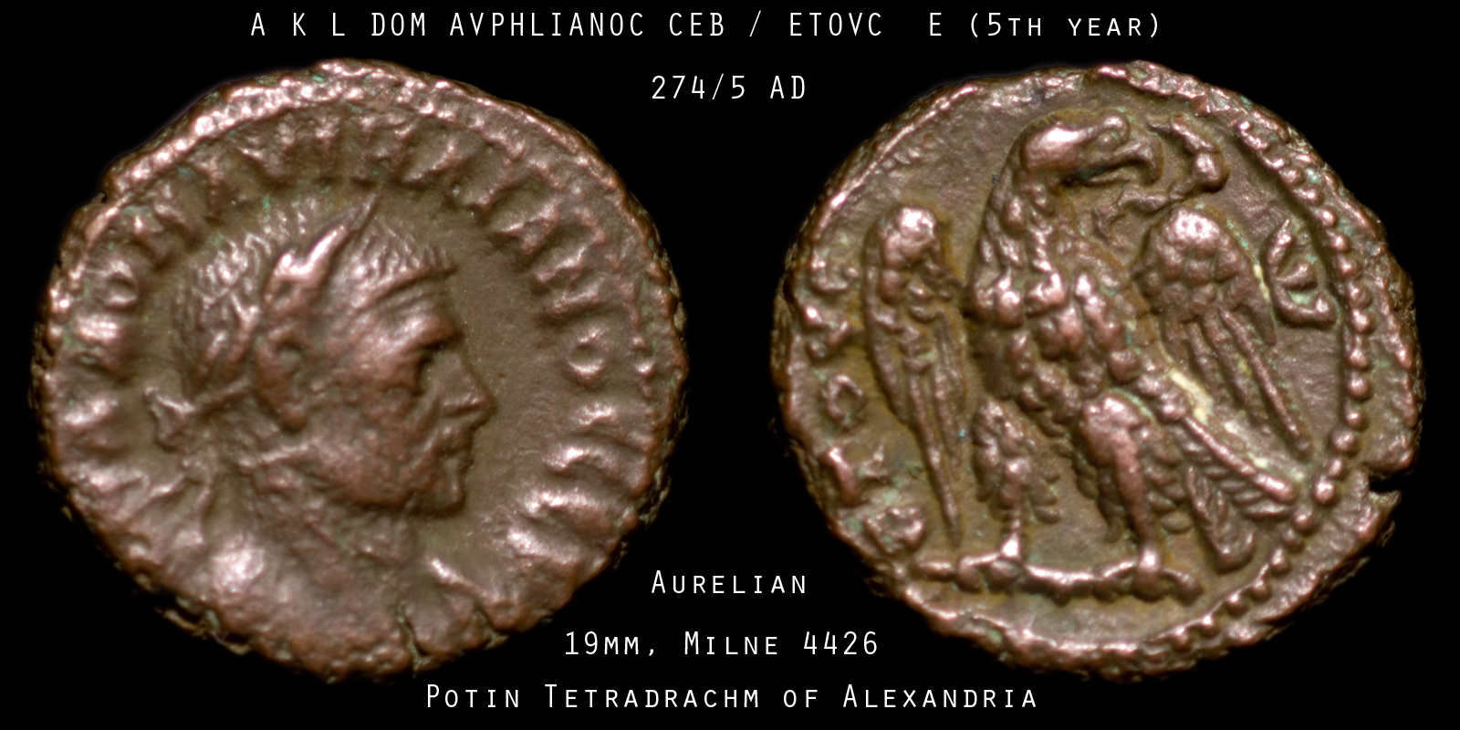 aurelian_m4426_s.jpg