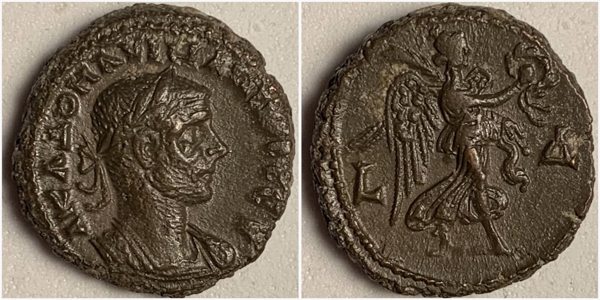 AurelianEmmett3946.JPG