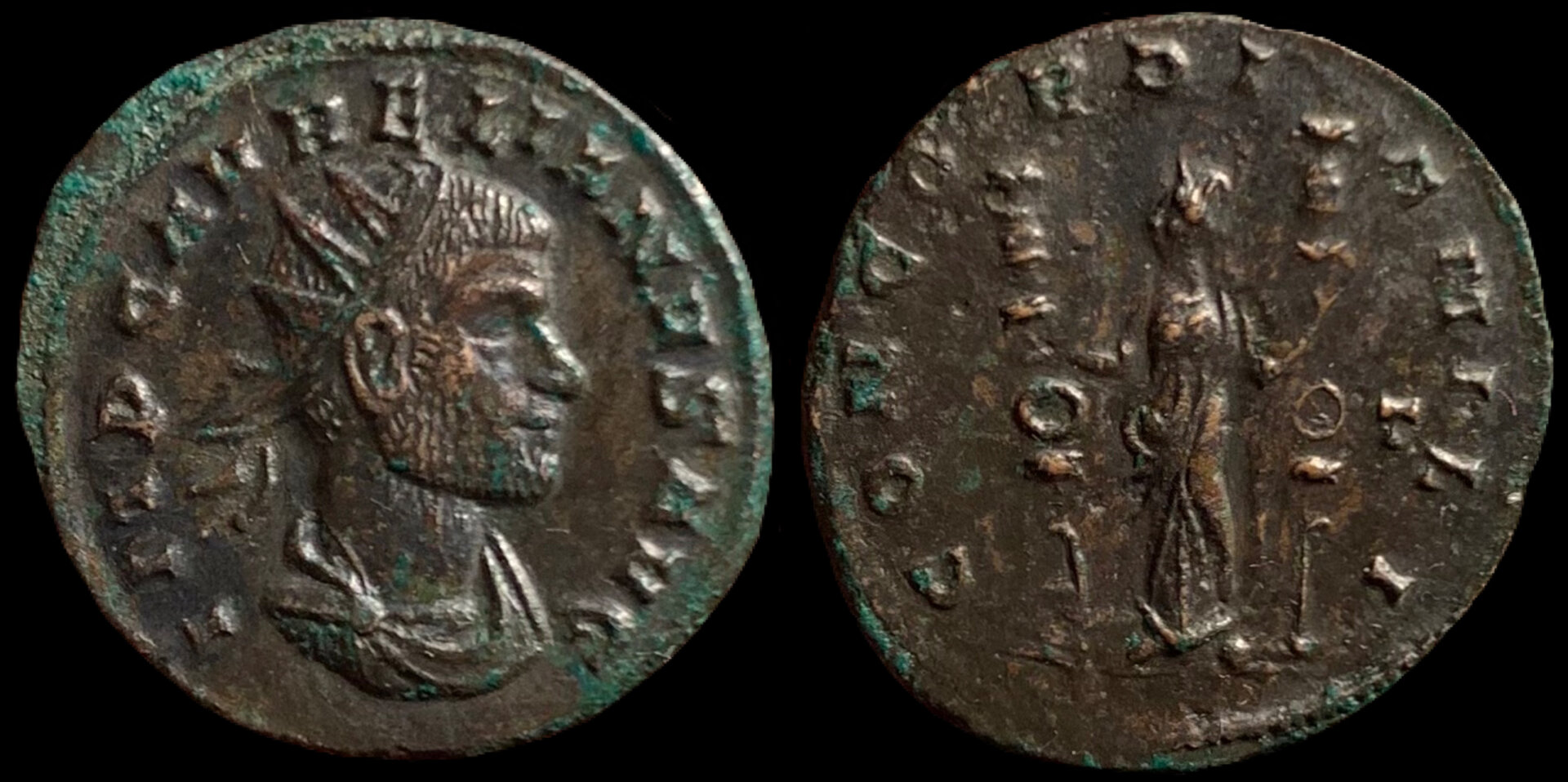 AurelianSisciaRICV192T.JPG