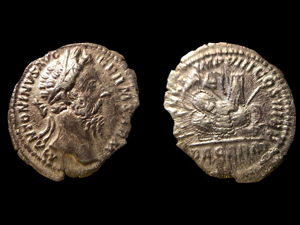 Aurelius De Germ copy.png