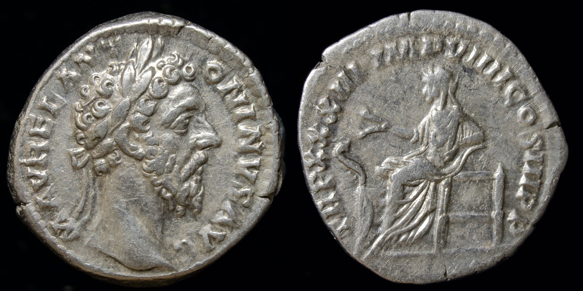 aurelius no ring.jpg