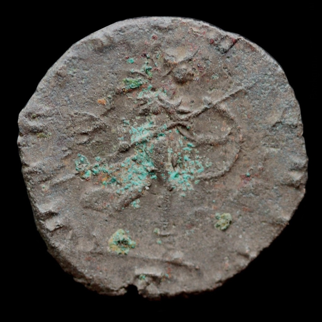 Aureolus 20150017 rev.jpg