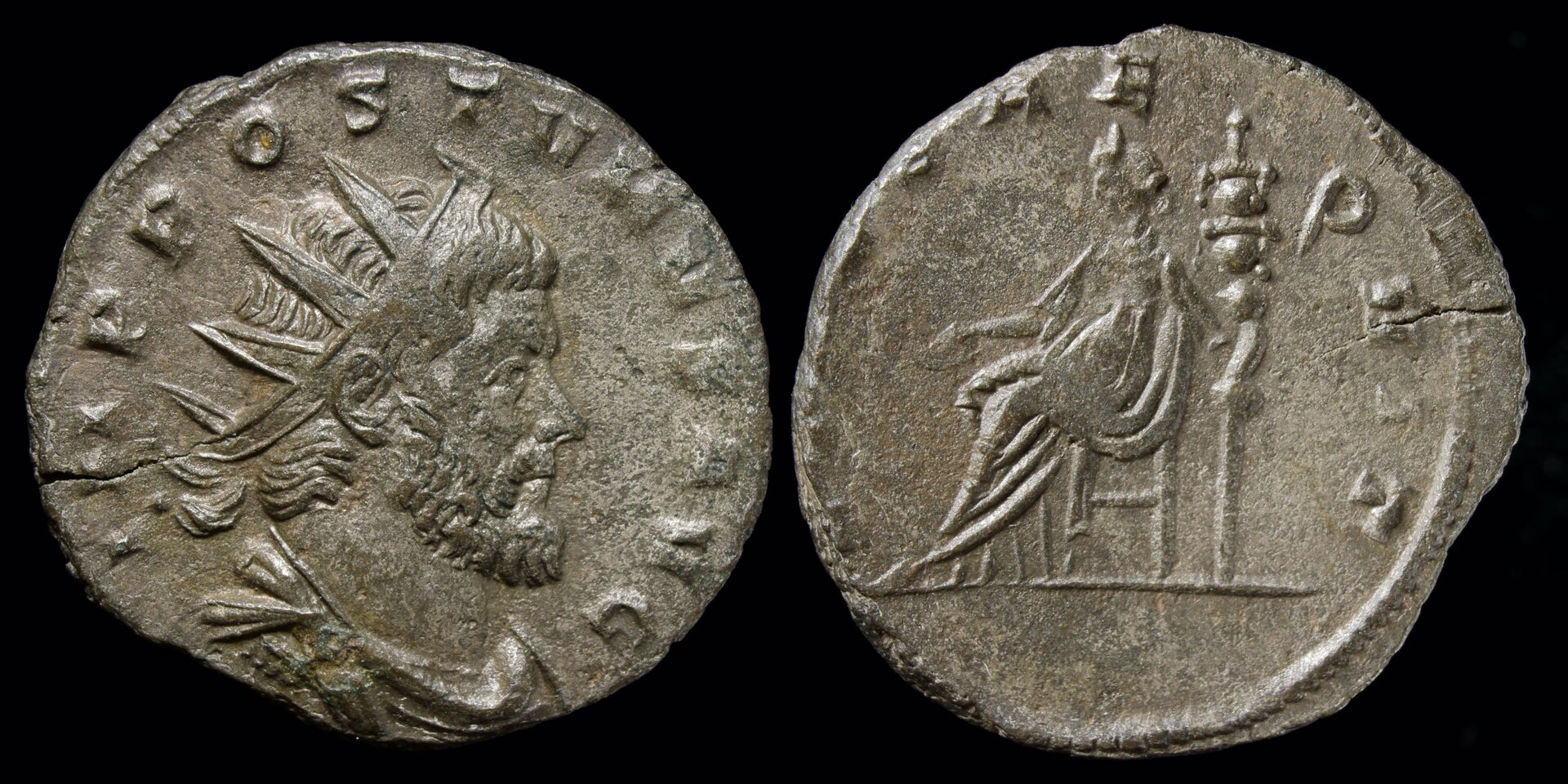 aureolus.jpg