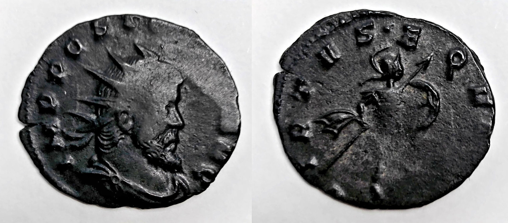 Aureolus Milan .jpg