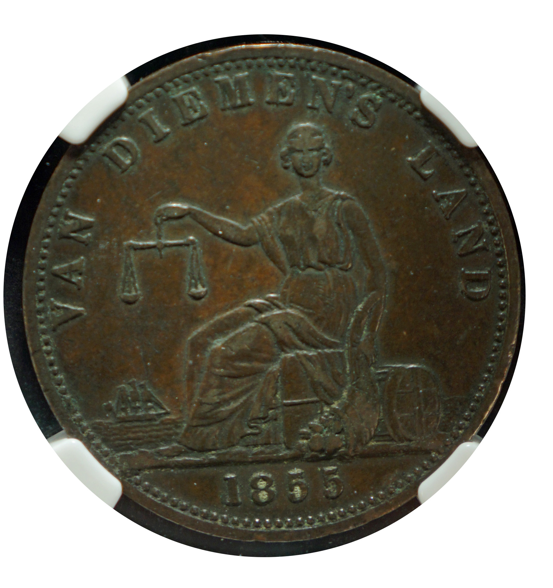 Aus185511.jpg