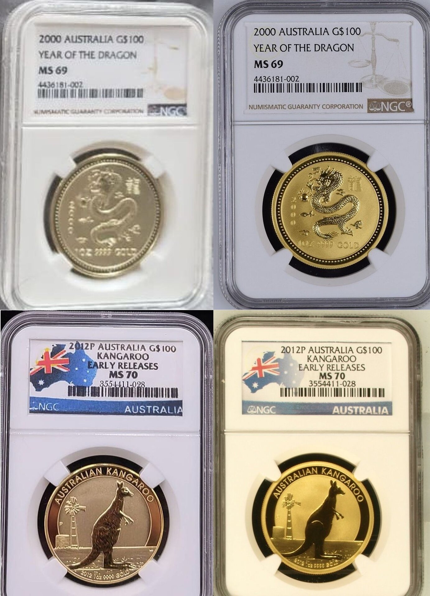 ausi gold.jpg