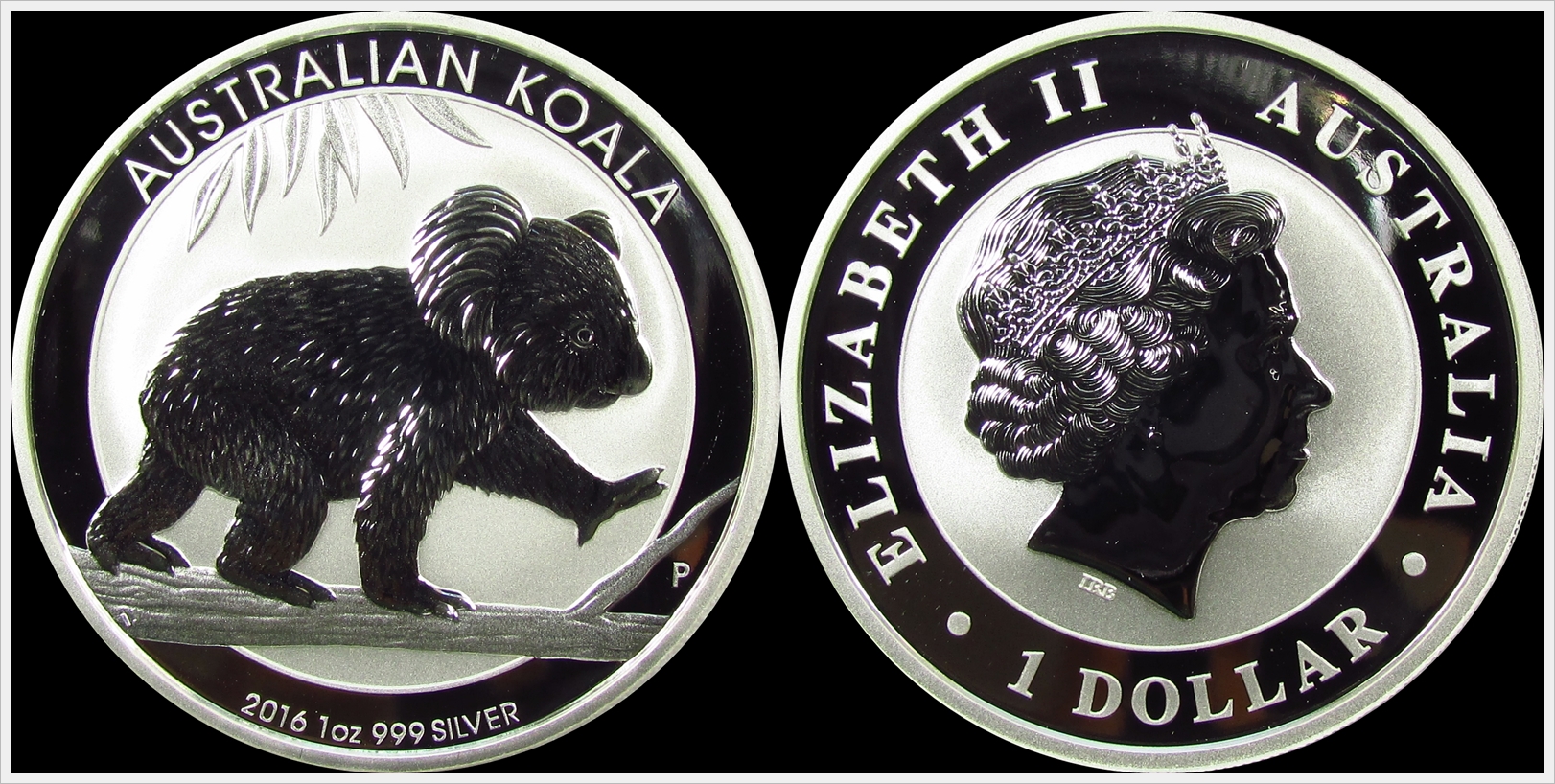 Australia 2016 Koala.jpg