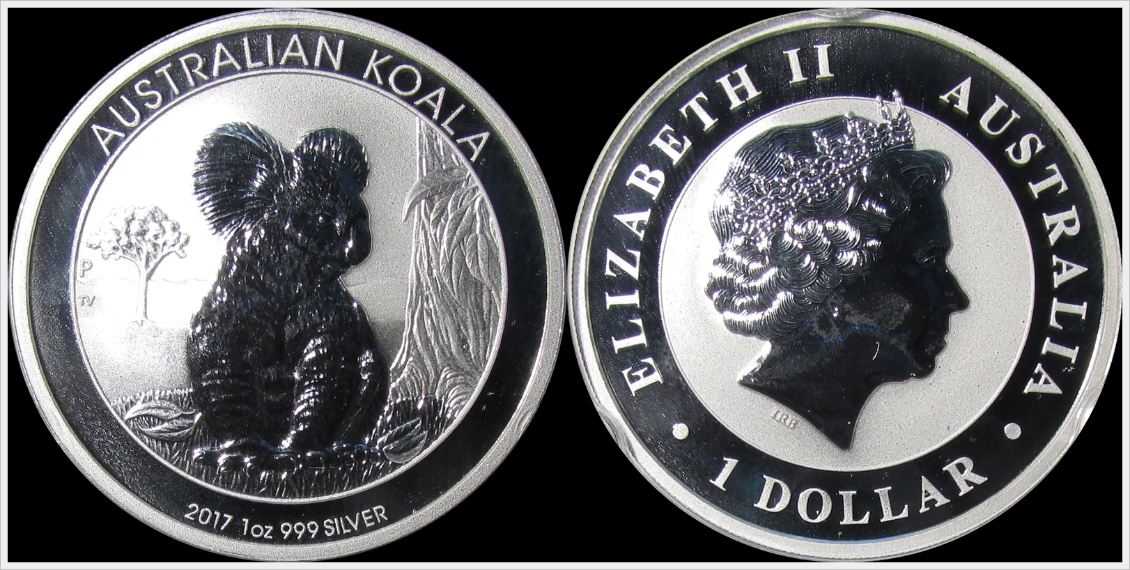 Australia 2017 Koala.jpg