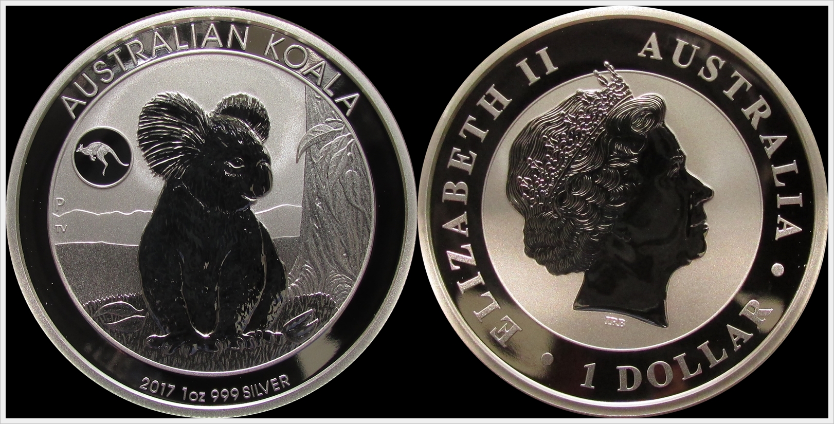 Australia 2017 Koala-Kangaroo privy.jpg