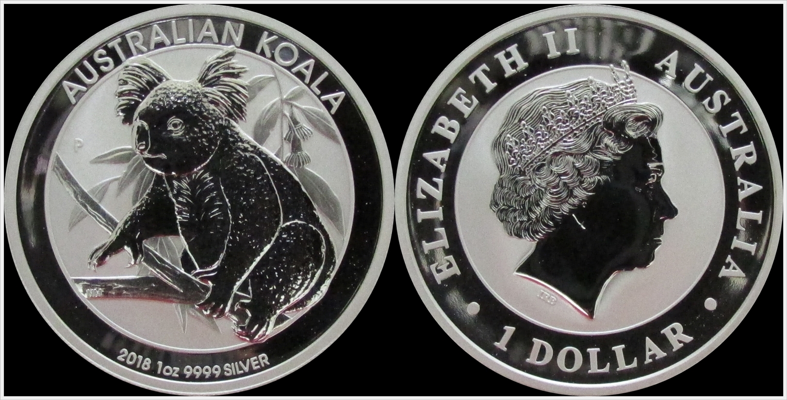 Australia 2018 Koala.jpg