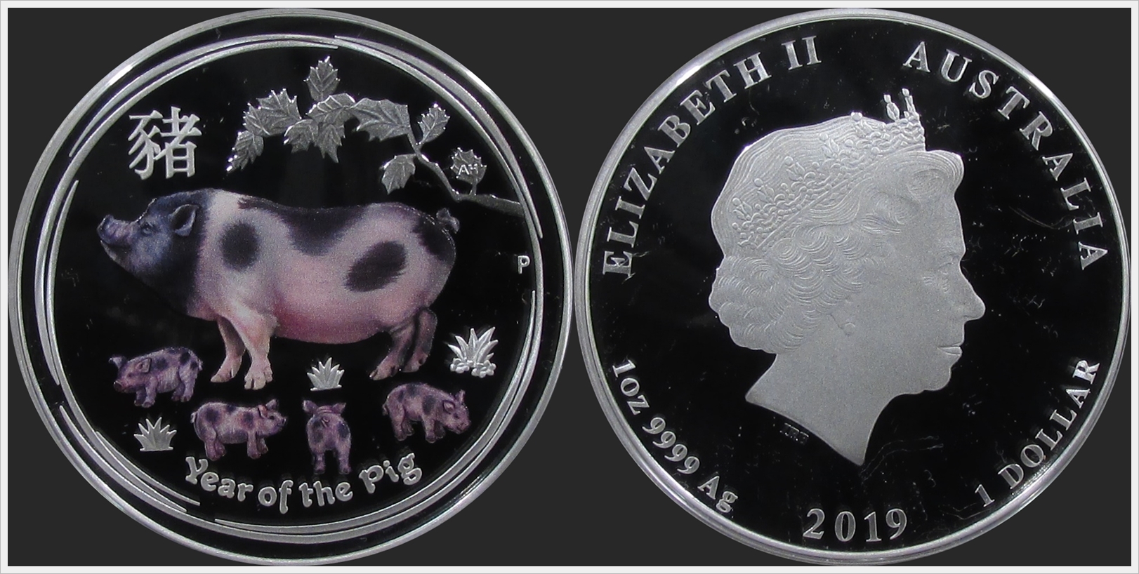 Australia 2019 Year of Pig.jpg