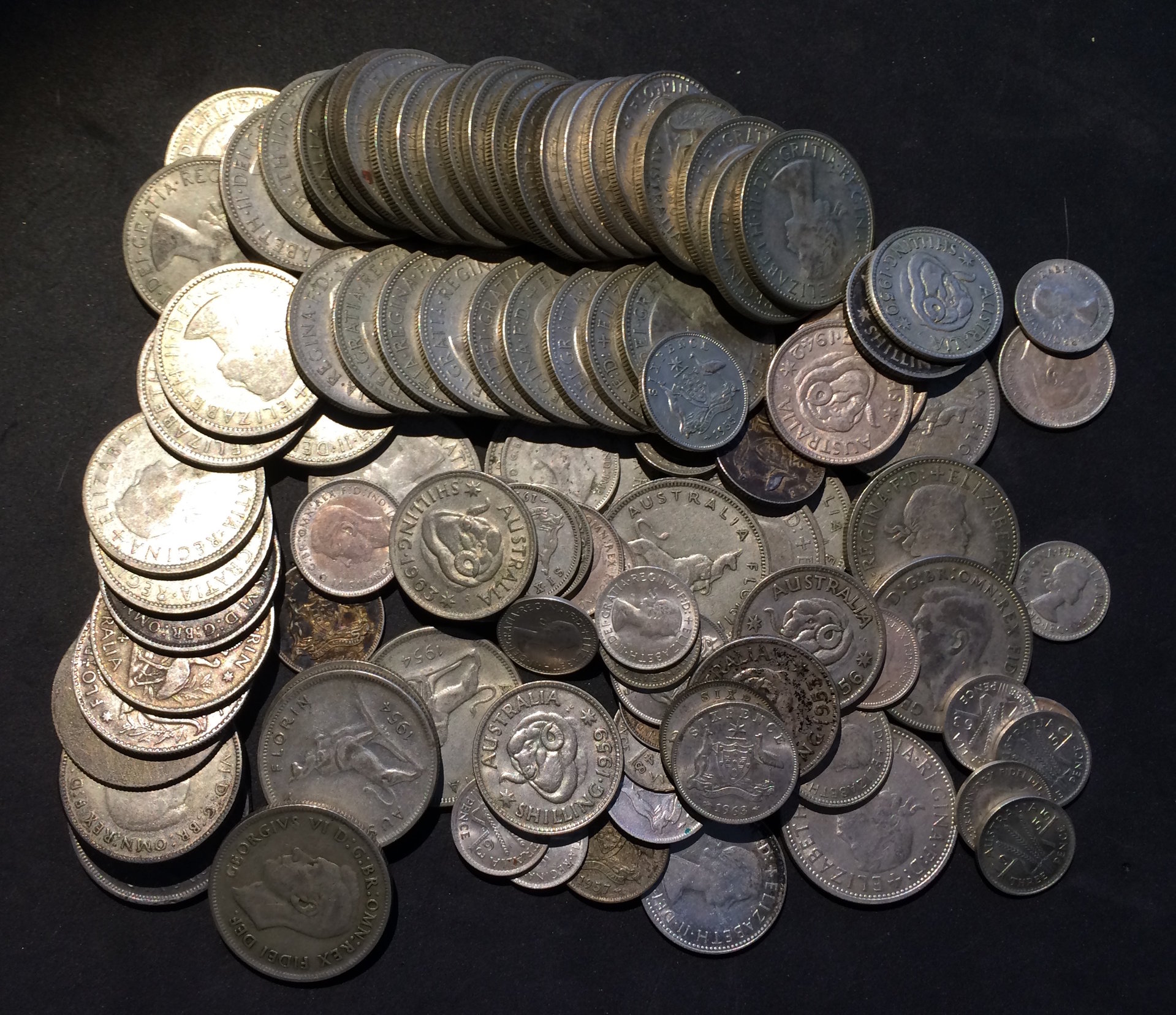 Australian Silver.JPG
