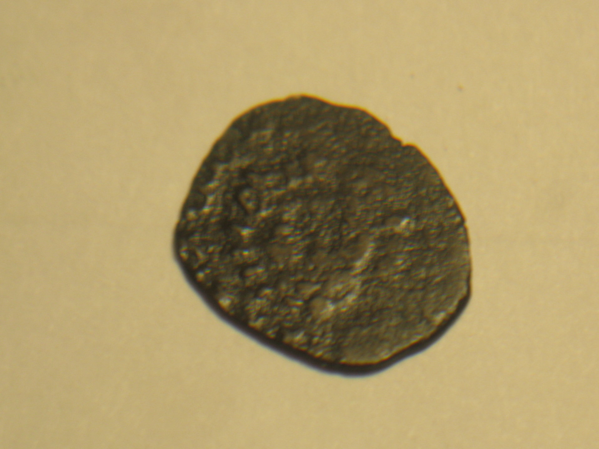 Austrian kreutzer and lion head quarting 1400s 004.JPG