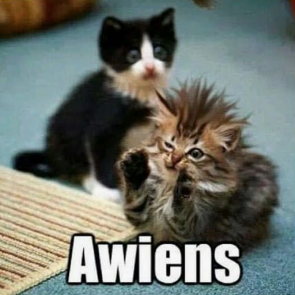 Awiens.jpg