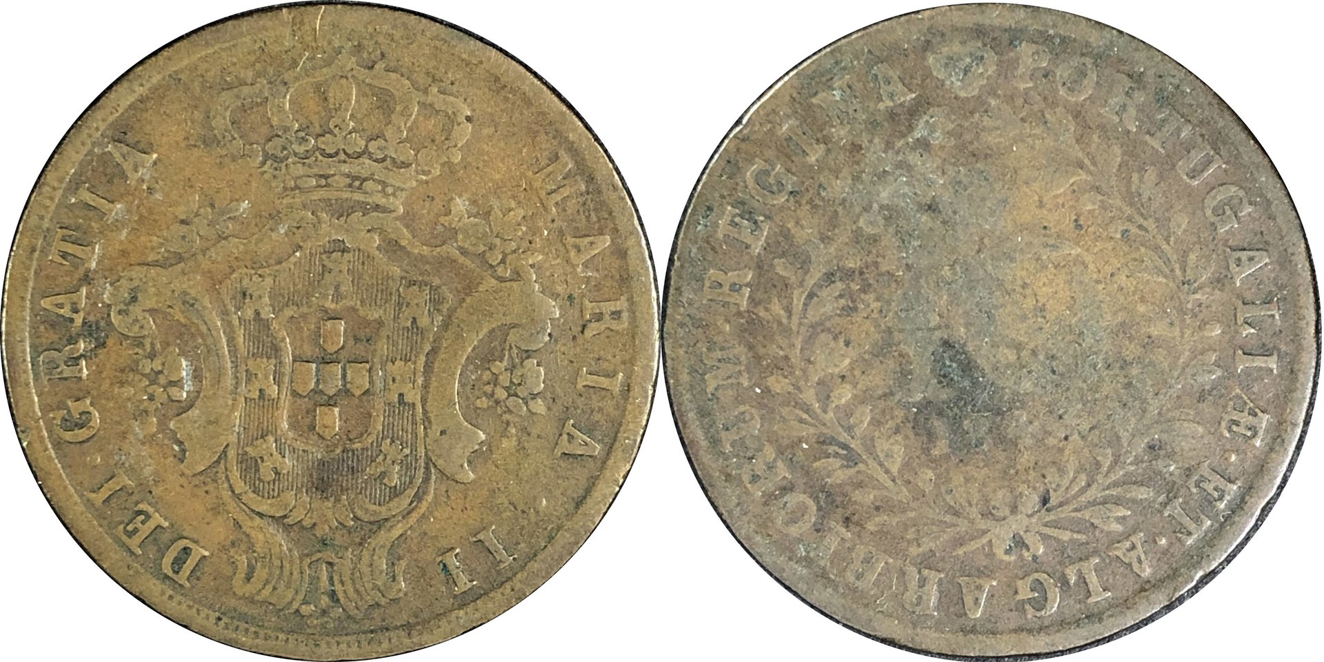 Azo184303.jpg