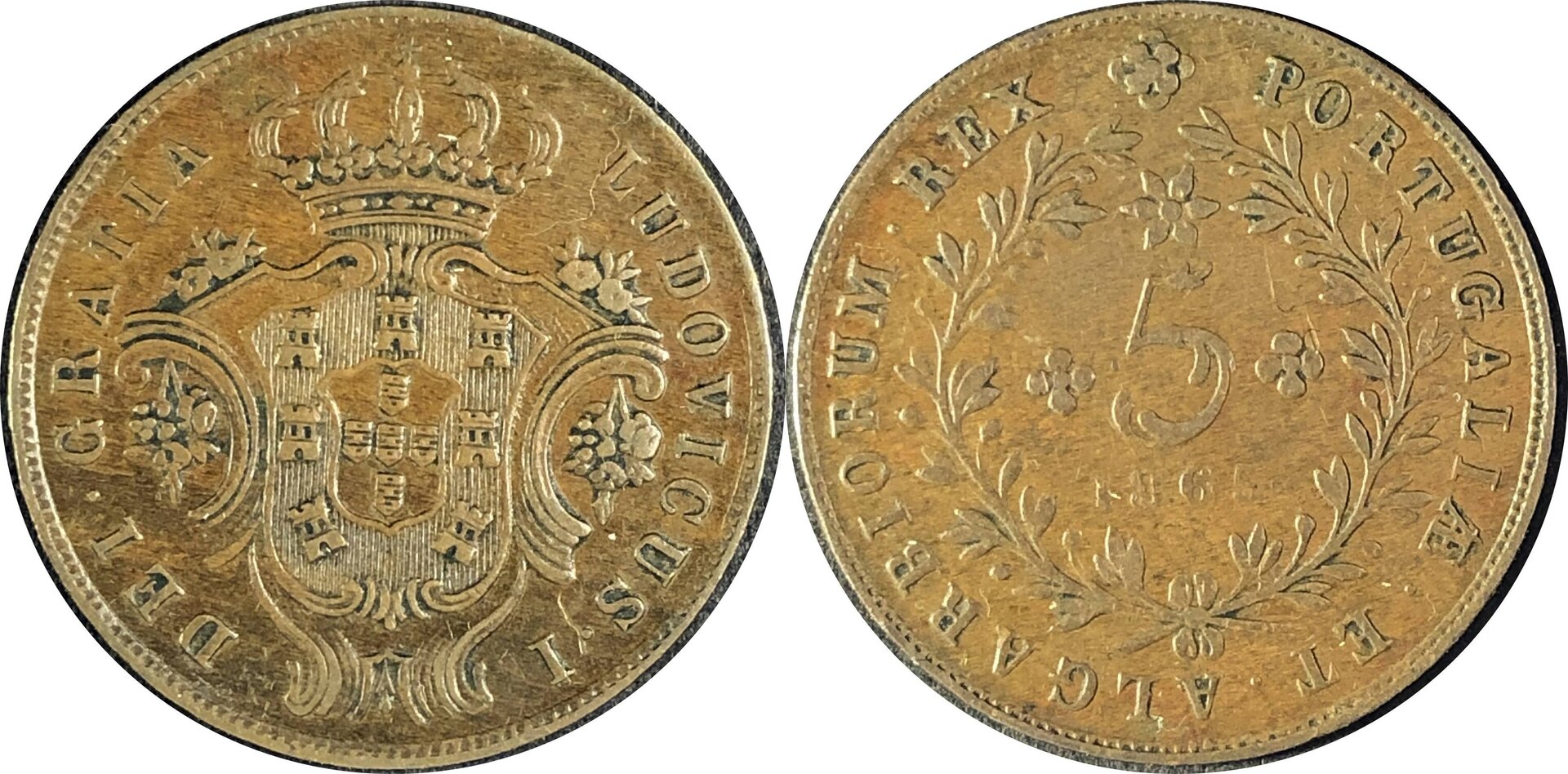 Azo186503.jpg