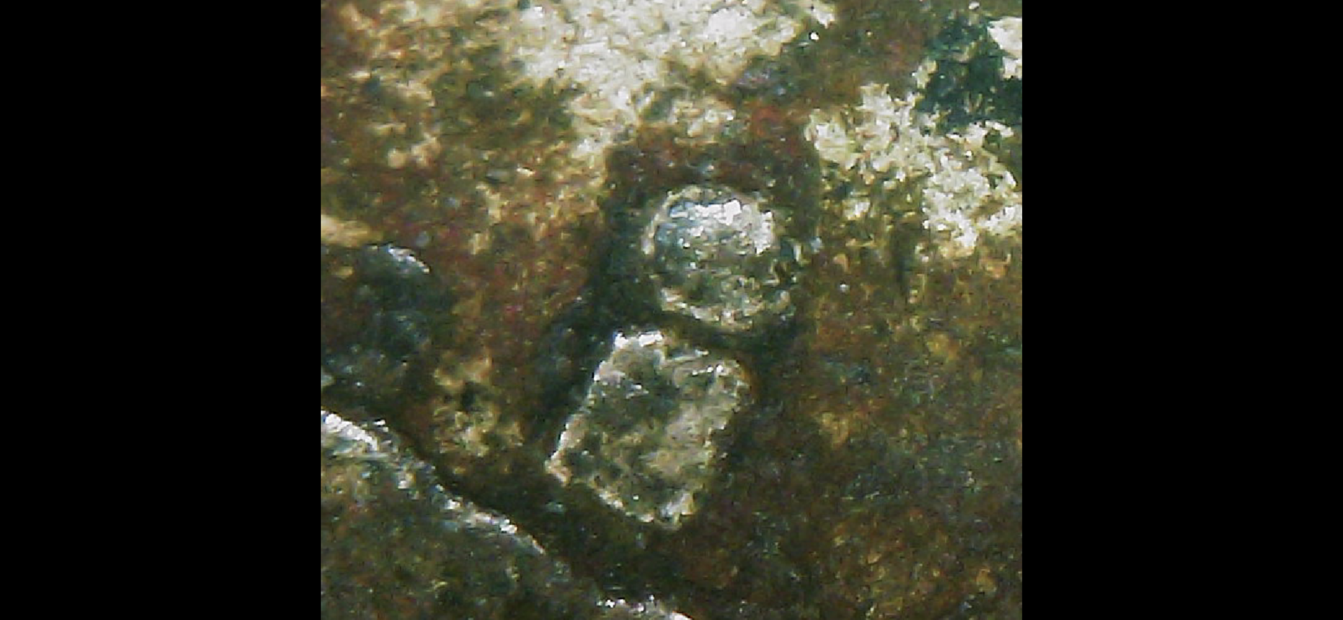 B0E10303-C34E-4B31-BFDA-C34E212B74D0.png