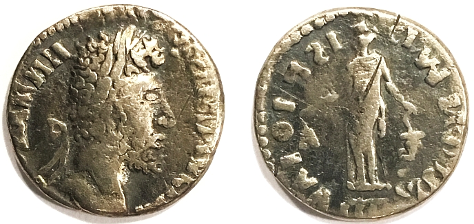 B11 Verus.jpg