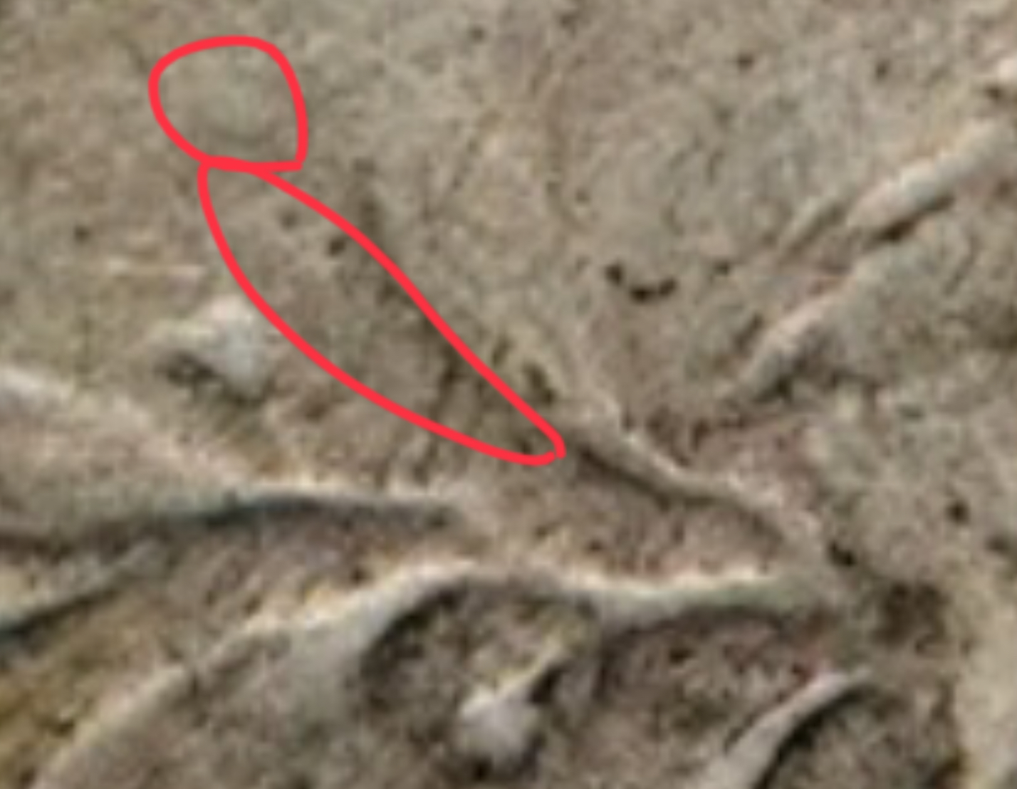 B376E524-E6F4-4943-8F80-E72494429807.jpeg