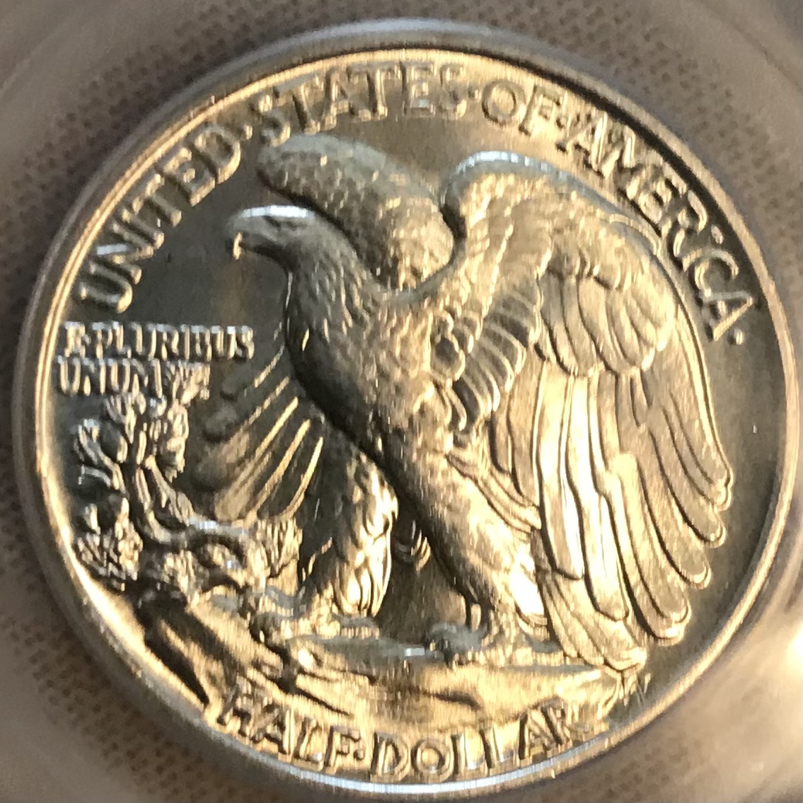 B777C6F3-4375-4155-85AF-A1CA508AFF9F.jpeg