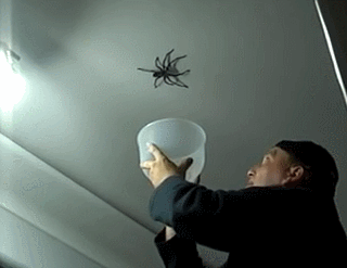 b822b367105d58cd5cfc268827707181.gif