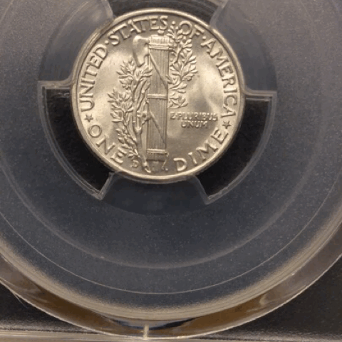 B82E0E81-55FF-433D-8A57-D520CB028689.gif