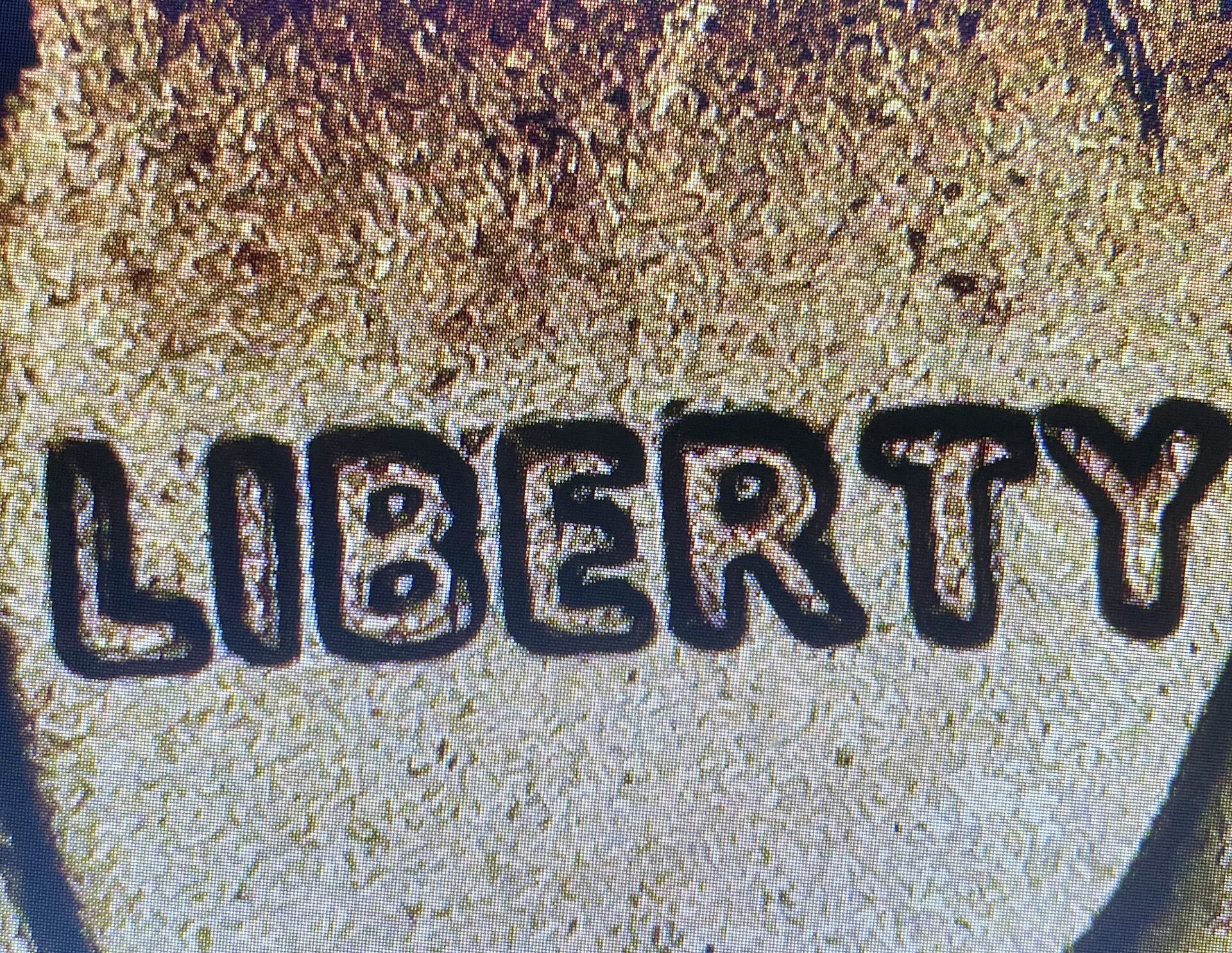 B9417B12-78B9-4081-93D0-3D4AF6160571.jpeg