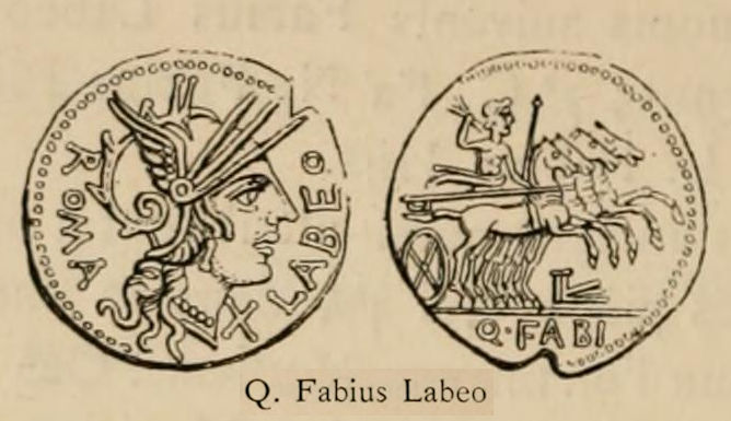 Babelon Labeo.jpg