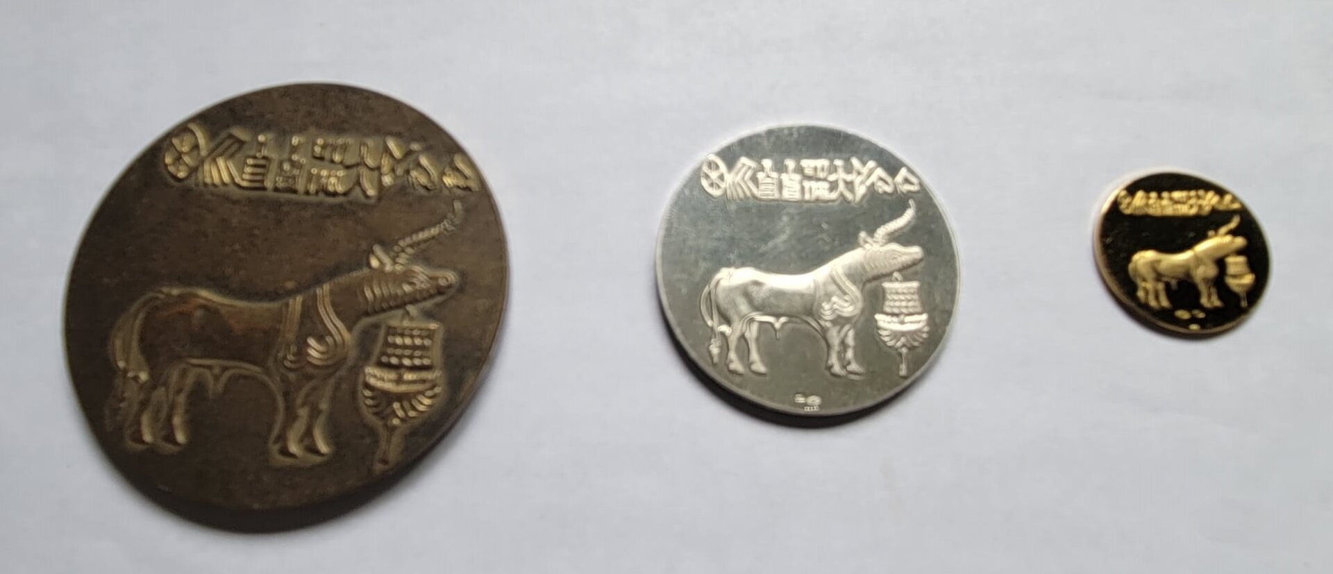 back medal.jpg