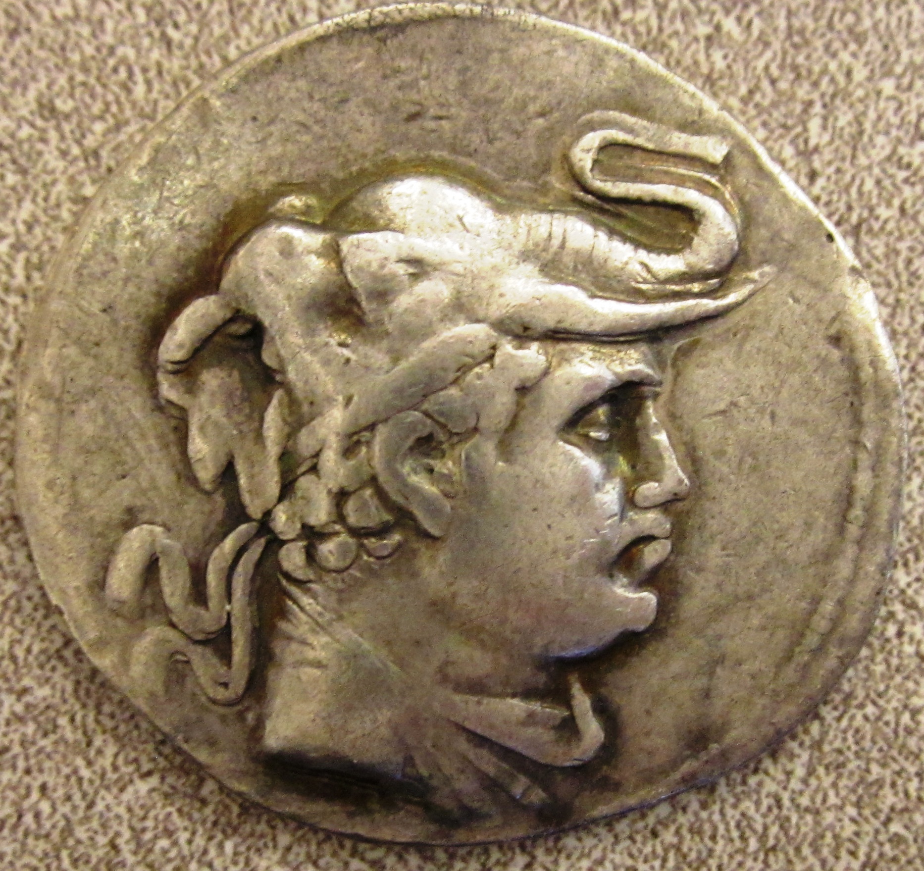 Bactria Obv 1.JPG