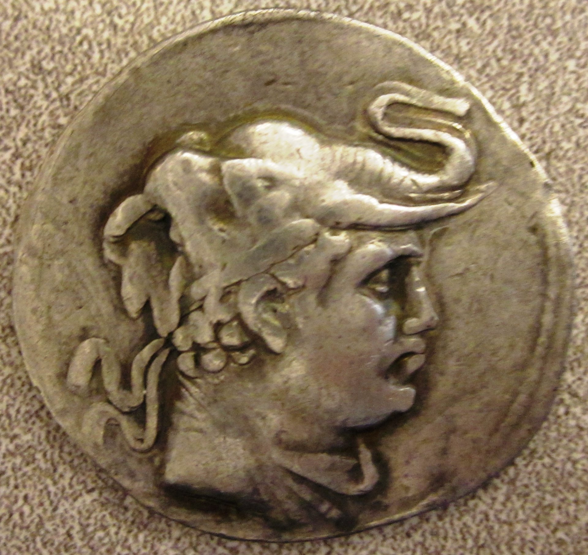 Bactria Obv 2.JPG