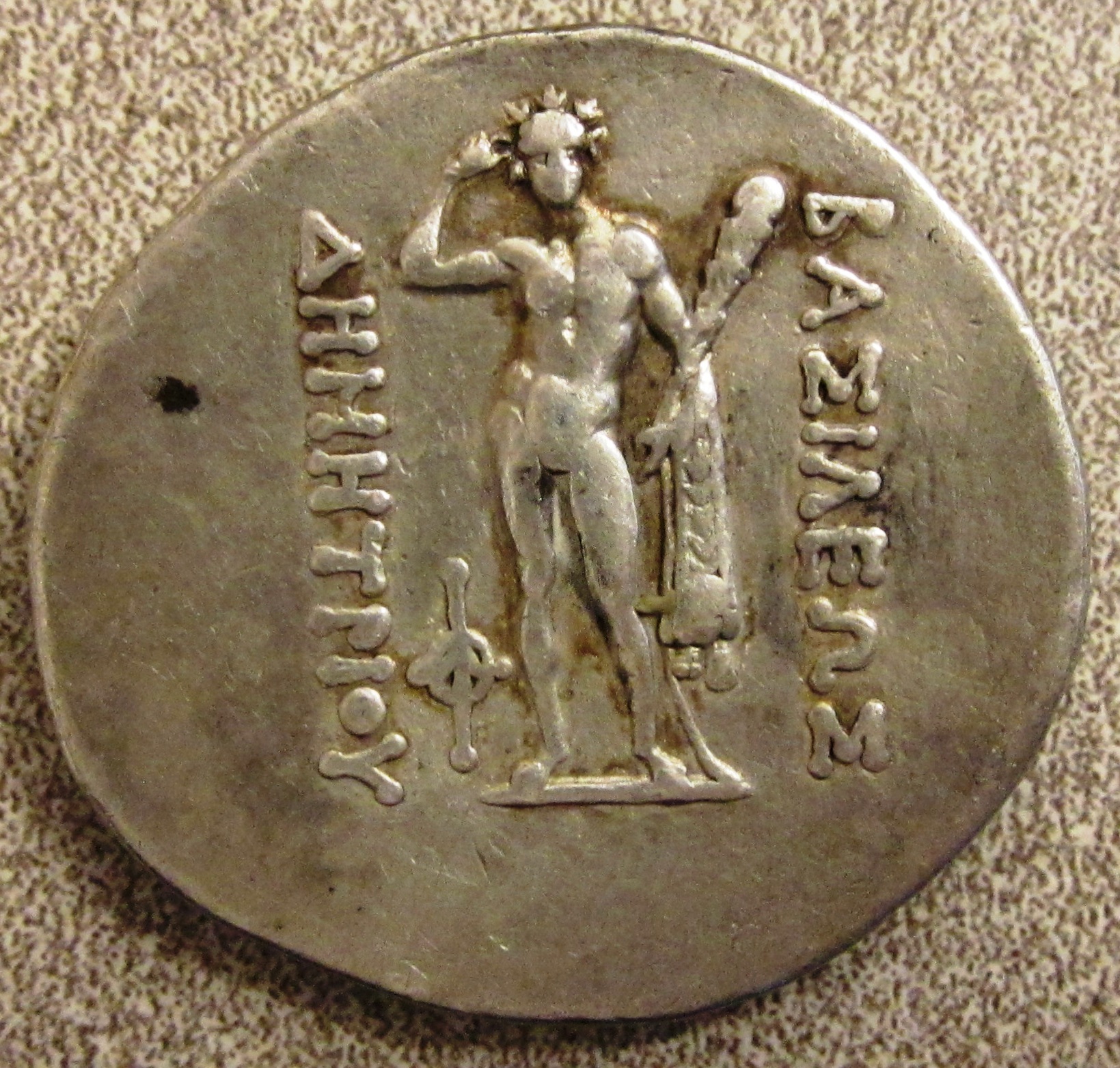 Bactria Rev 1.JPG
