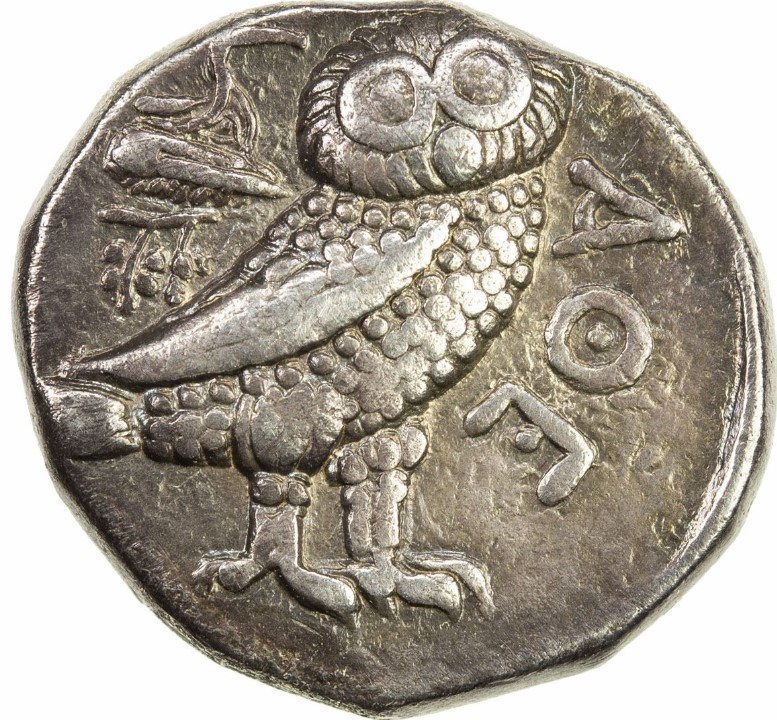 Bactria rev.jpg