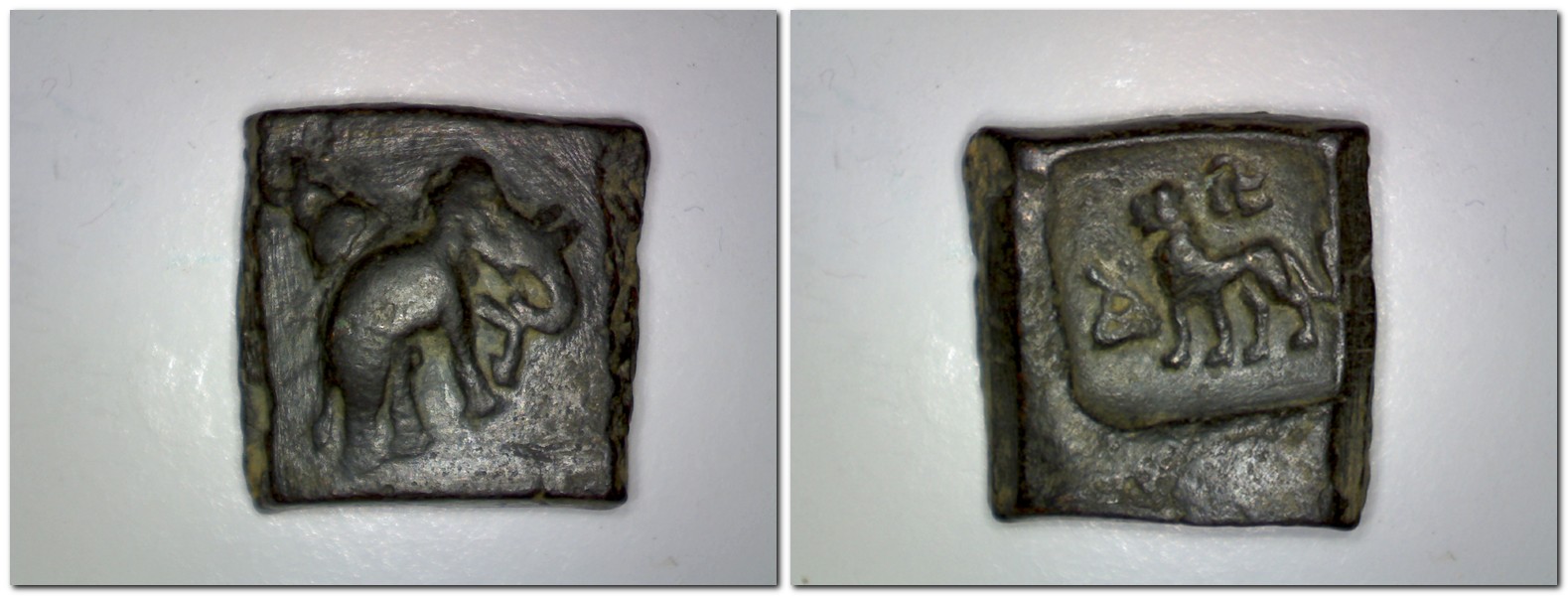 Bactrian Elephant.jpg