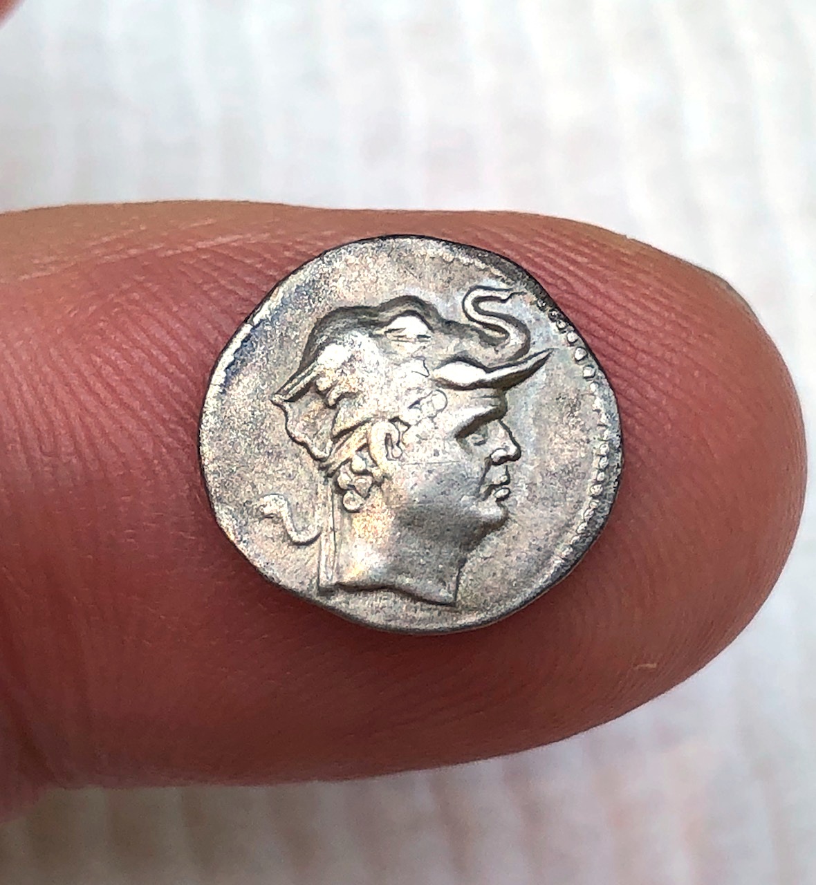 Bactrian Obv.jpg