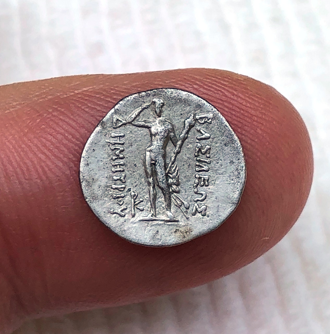 Bactrian Rev.jpg