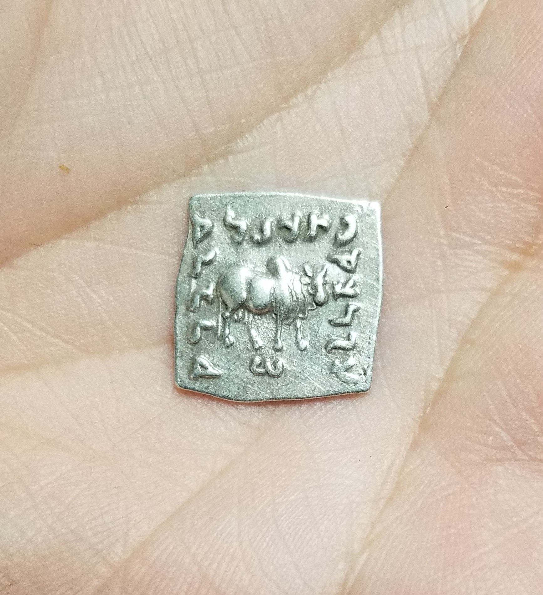 Bactrian Reverse.jpg