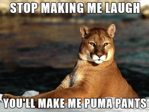 bad-puns-14.jpg
