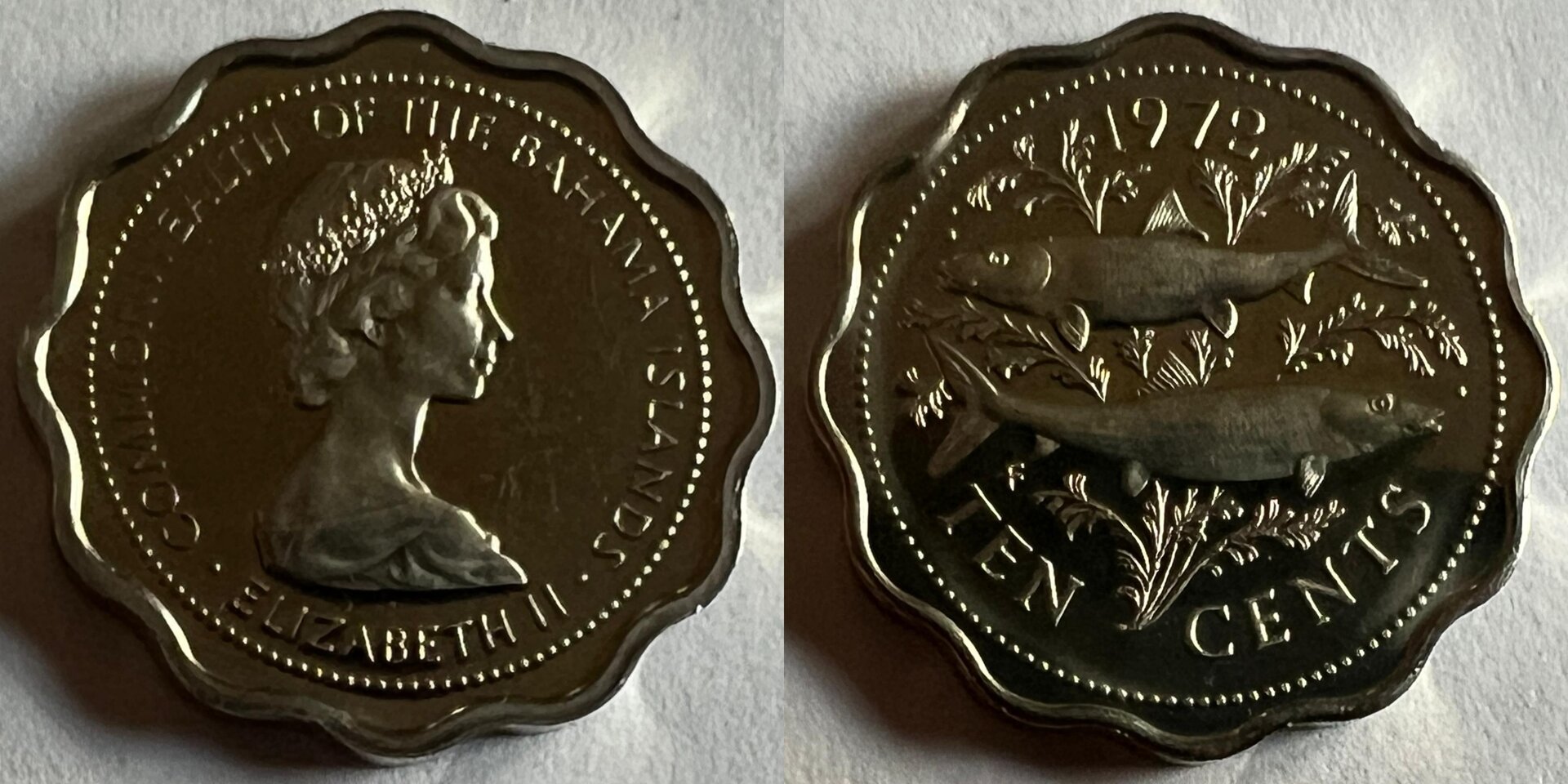 Bahamas 1971 10 cent.jpg