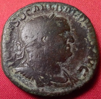 balbinus (2).jpg