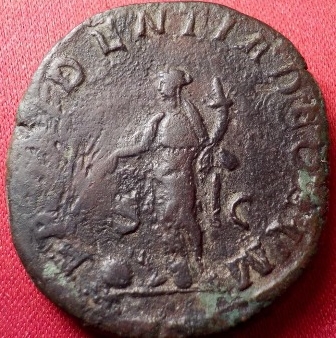 balbinus (3).jpg