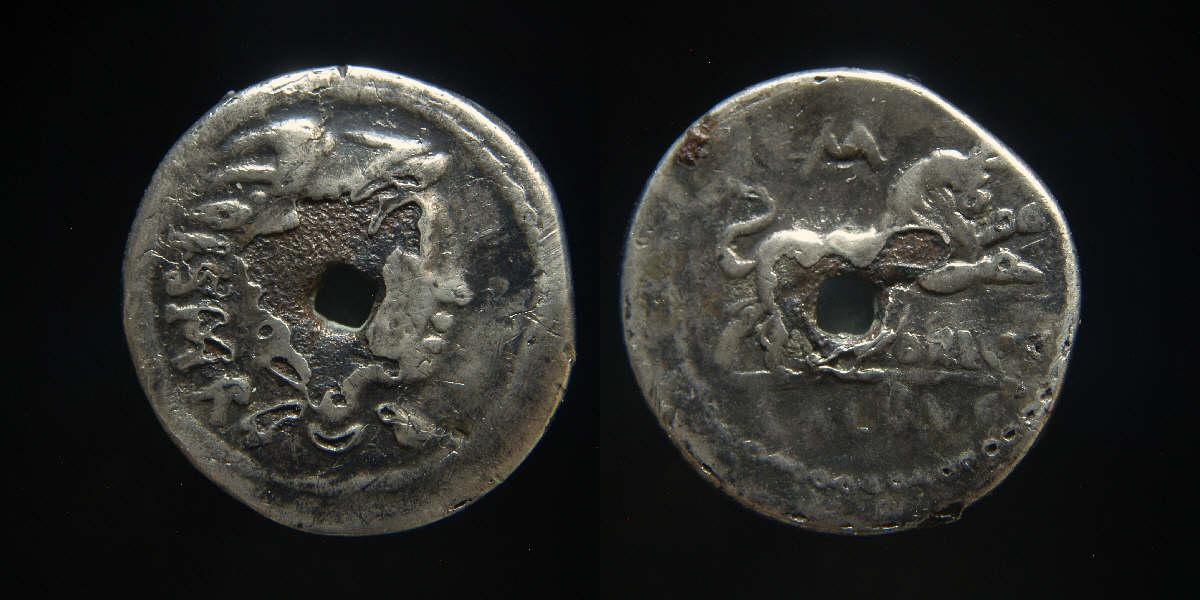 Balbus 3.JPG